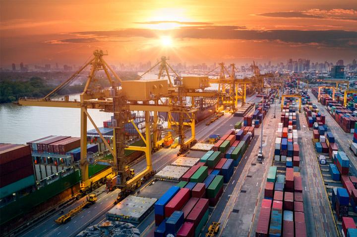 Market Knowledge & Expertise